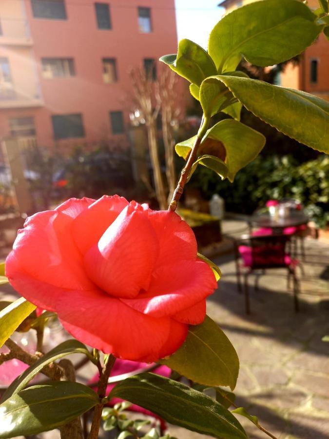 Hotel Arcoveggio 볼로냐 외부 사진